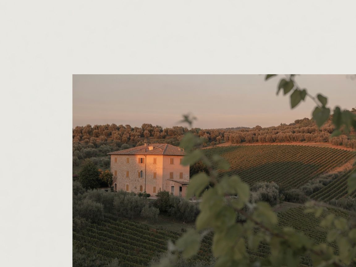 Tuscan villa surrounded by vineyards and olive groves